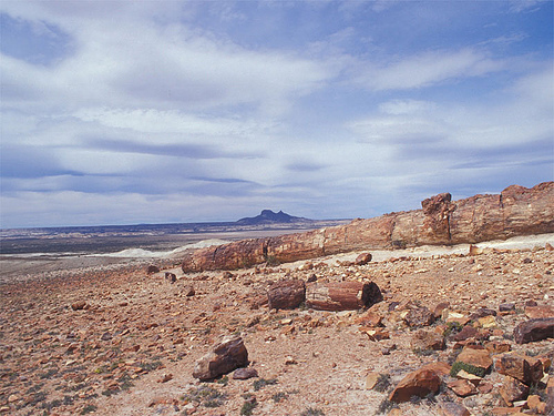 Национальный парк Окаменевшие леса Джарамильо